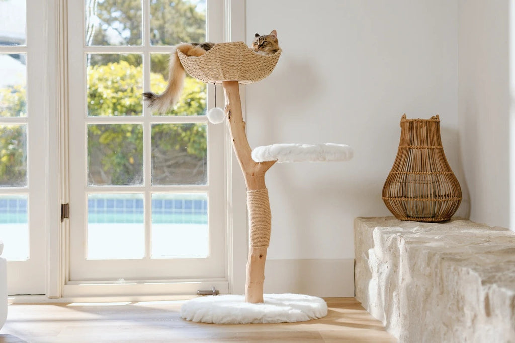 The Uni — Sculptural Cat Tree in Cotton White