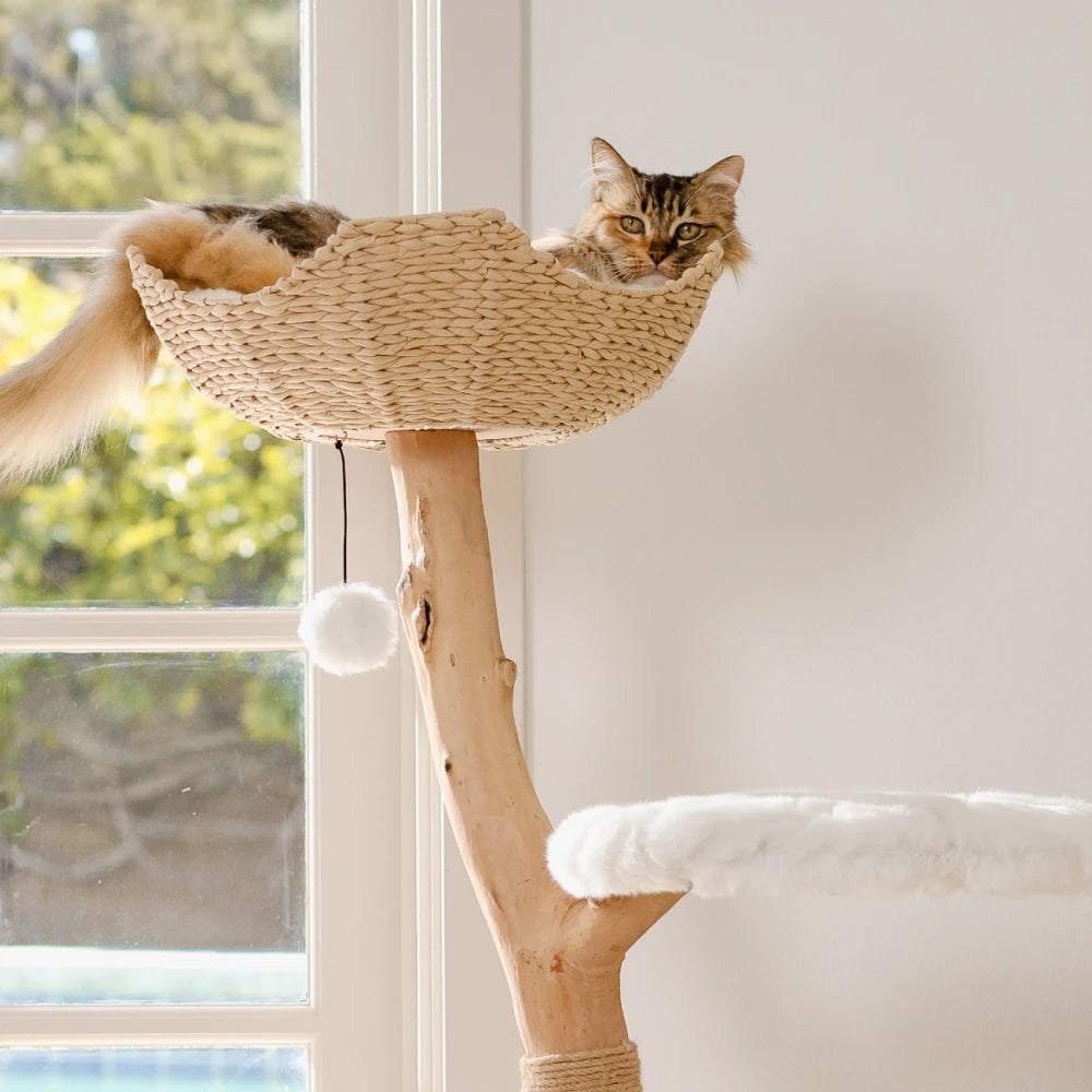 The Uni — Sculptural Cat Tree in Cotton White