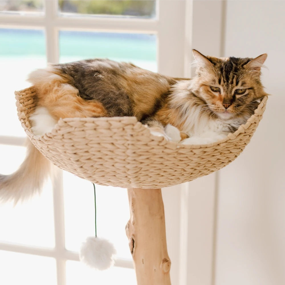 The Uni — Sculptural Cat Tree in Cotton White